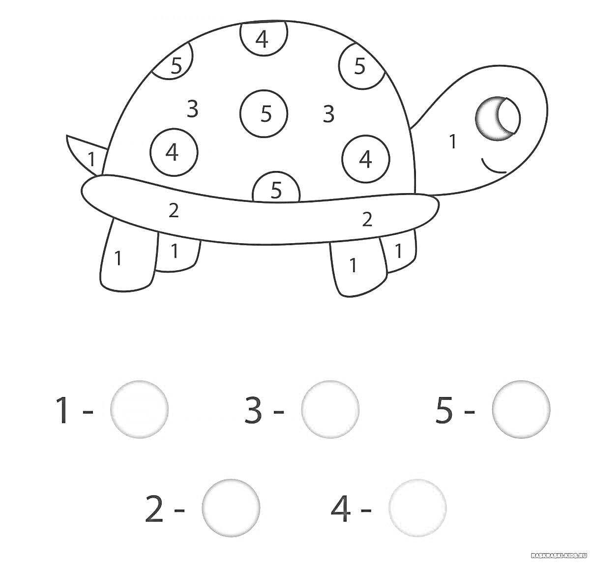 Раскраска Черепаха с цифрами для раскрашивания