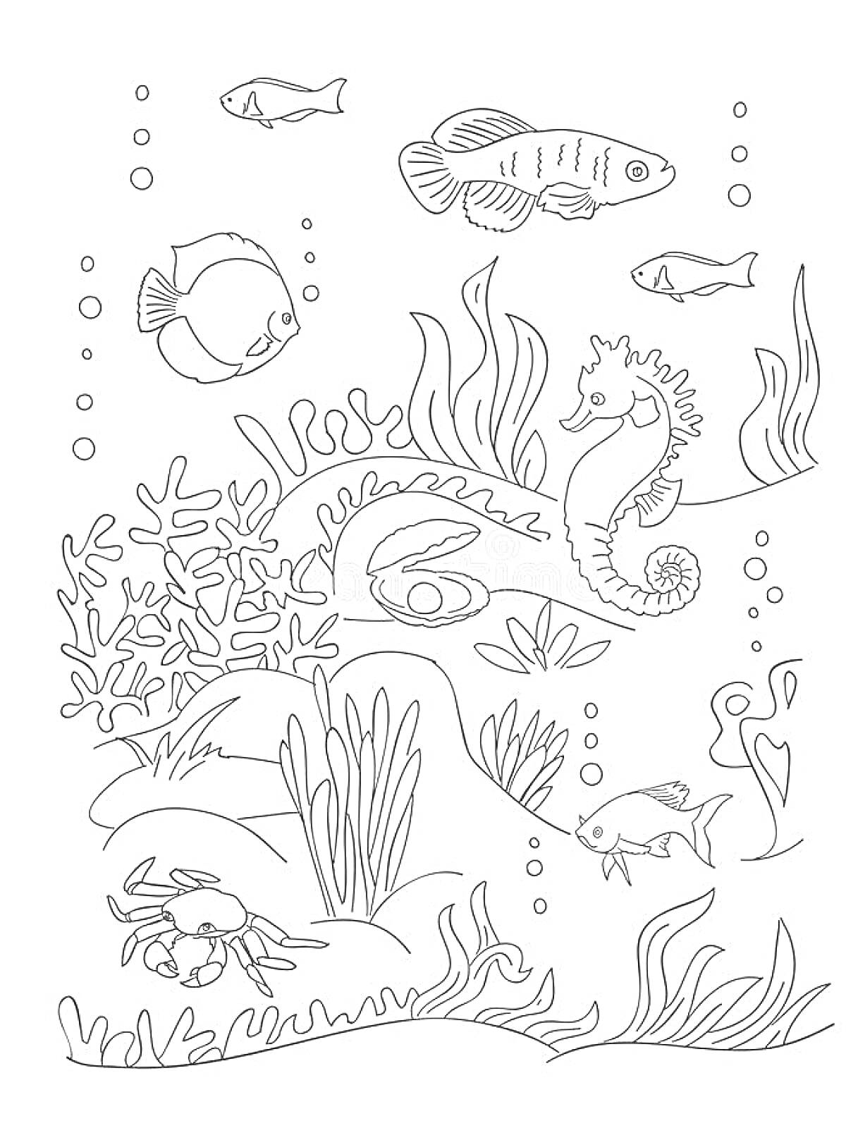 На раскраске изображено: Подводный мир, Морской конек, Ракушка, Краб, Водоросли, Кораллы, Море, Рыба, Океаны