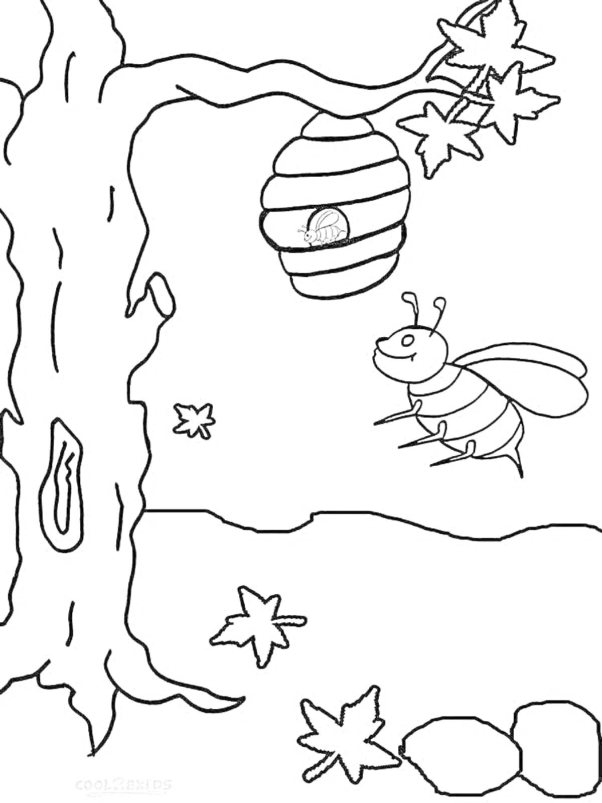 Раскраска Улей на дереве с пчелой, улиткой и опавшими листьями