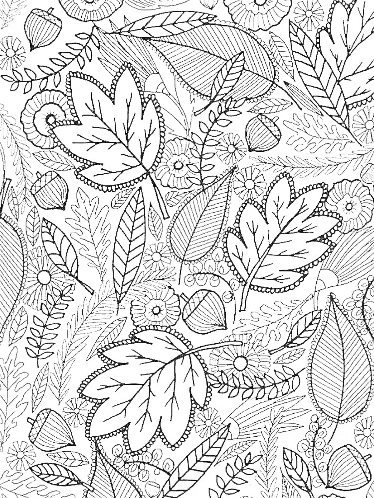 На раскраске изображено: Листья, Цветы, Желуди, Узоры, Антистресс, Ботаника, Природа, Осень
