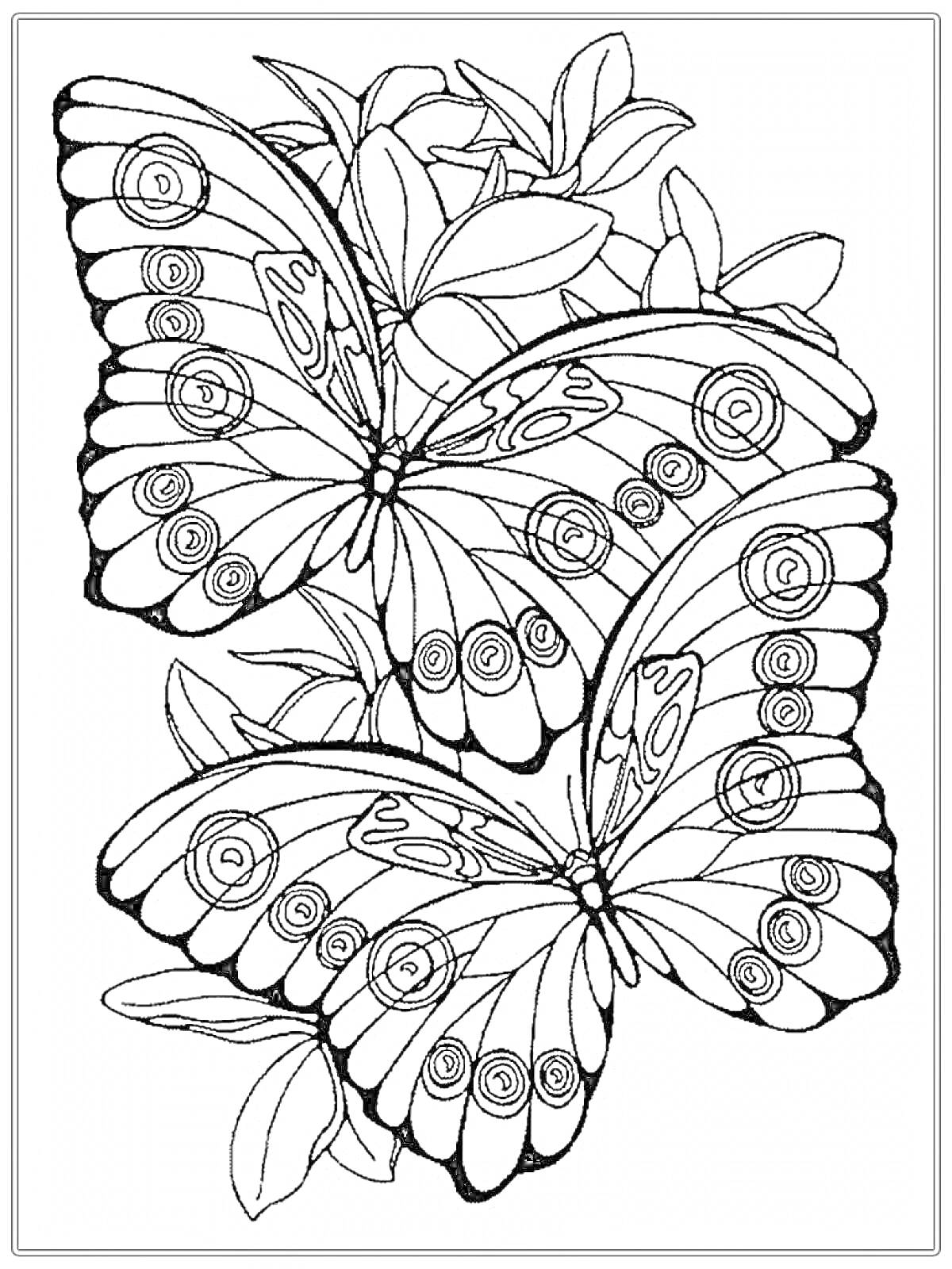 Раскраска Две бабочки на фоне растений