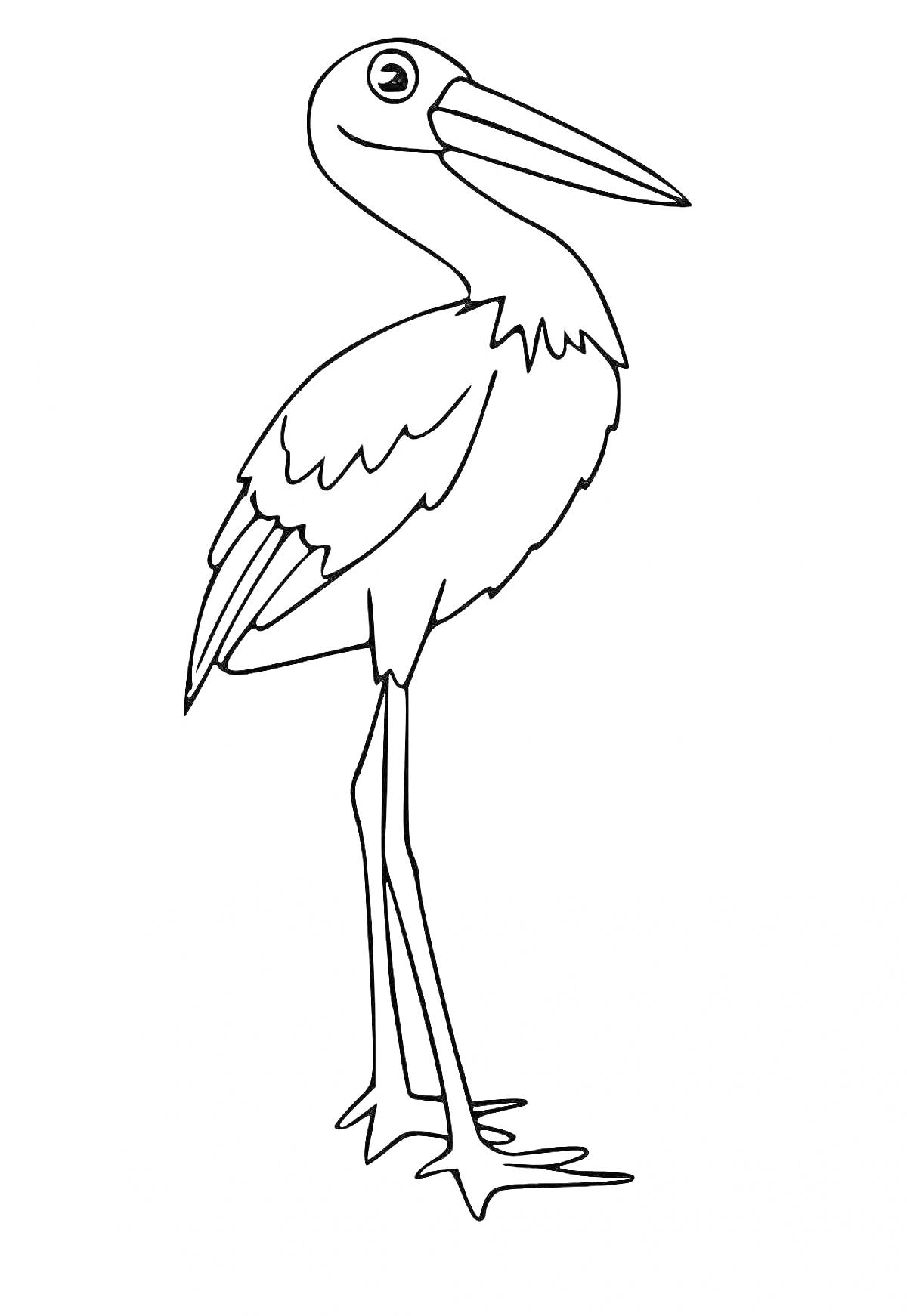 На раскраске изображено: Цапля, Птица, Одна нога, Длинный клюв, Длинные ноги