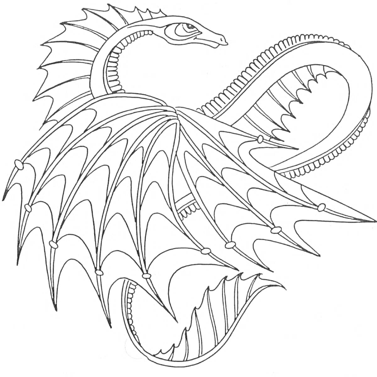 На раскраске изображено: Дракон, Крылья, Феникс, Изогнутое тело
