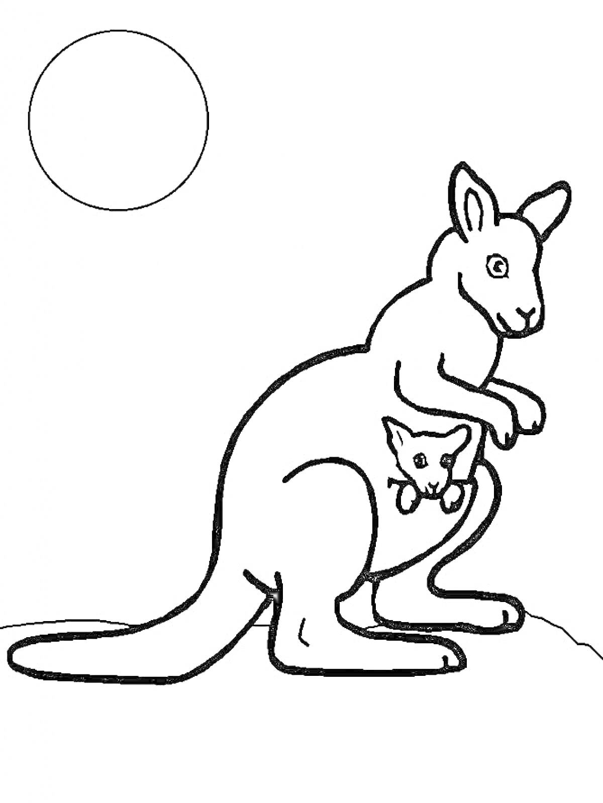 Раскраска Кенгуру с кенгуренком на холме и солнцем