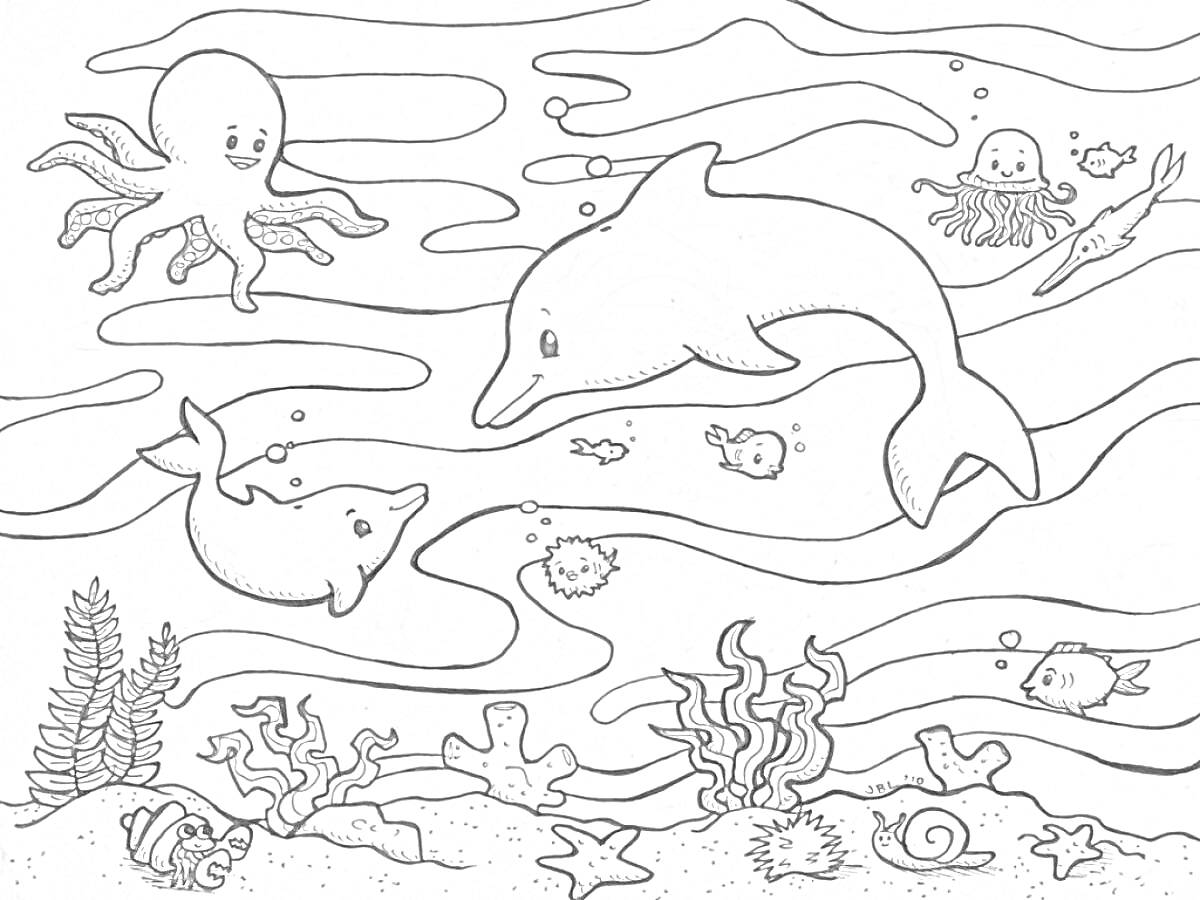 Раскраска Океанские приключения - дельфины, осьминог, рыбки, водоросли и кораллы