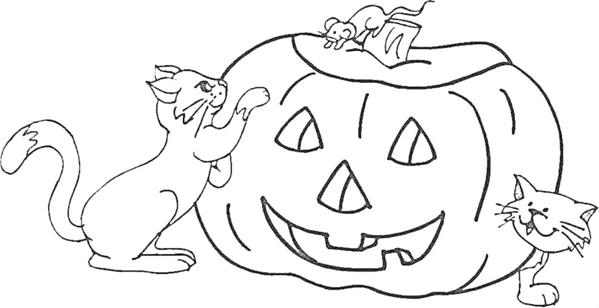 На раскраске изображено: Хэллоуин, Тыква, Кот, Мышь, Для детей, Праздники, Фонари