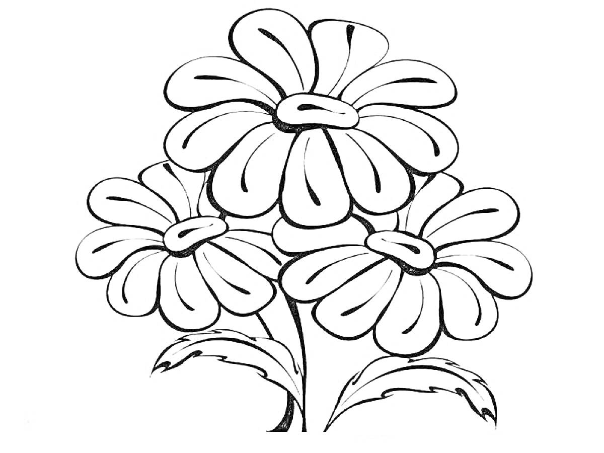 На раскраске изображено: Ромашка, Цветы, Листья, Флора, Контурные рисунки
