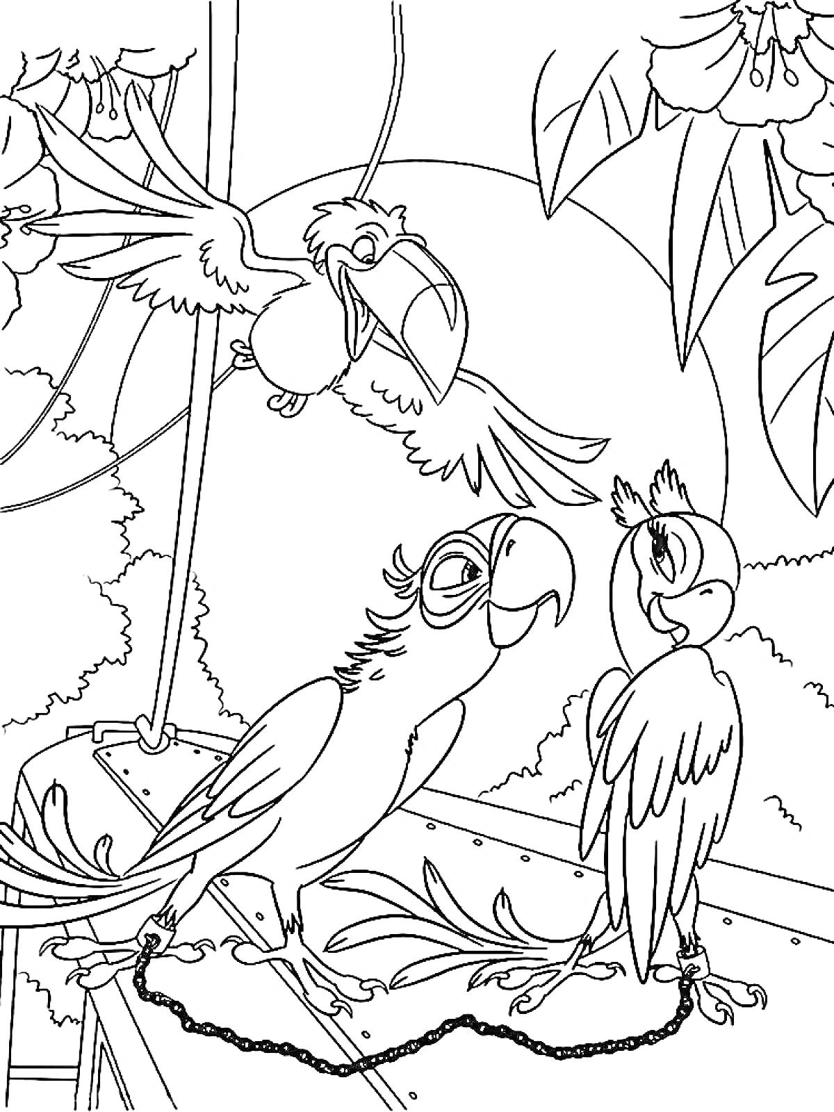 Раскраска Два попугая на крыше, за которыми наблюдает третий летящий попугай на фоне джунглей и цветущих растений.