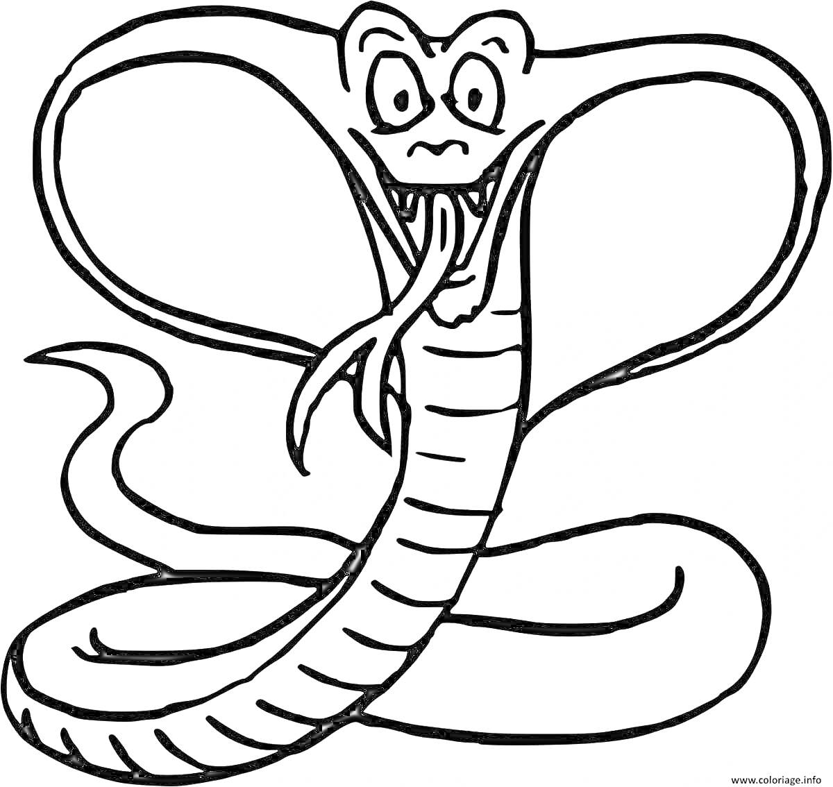 На раскраске изображено: Кобра, Змея, Рептилии, Высунутый язык, Капюшон, Хвост, Учеба, Для детей, Животное