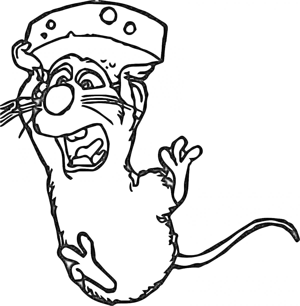Раскраска Испуганная крыса с куском сыра на голове