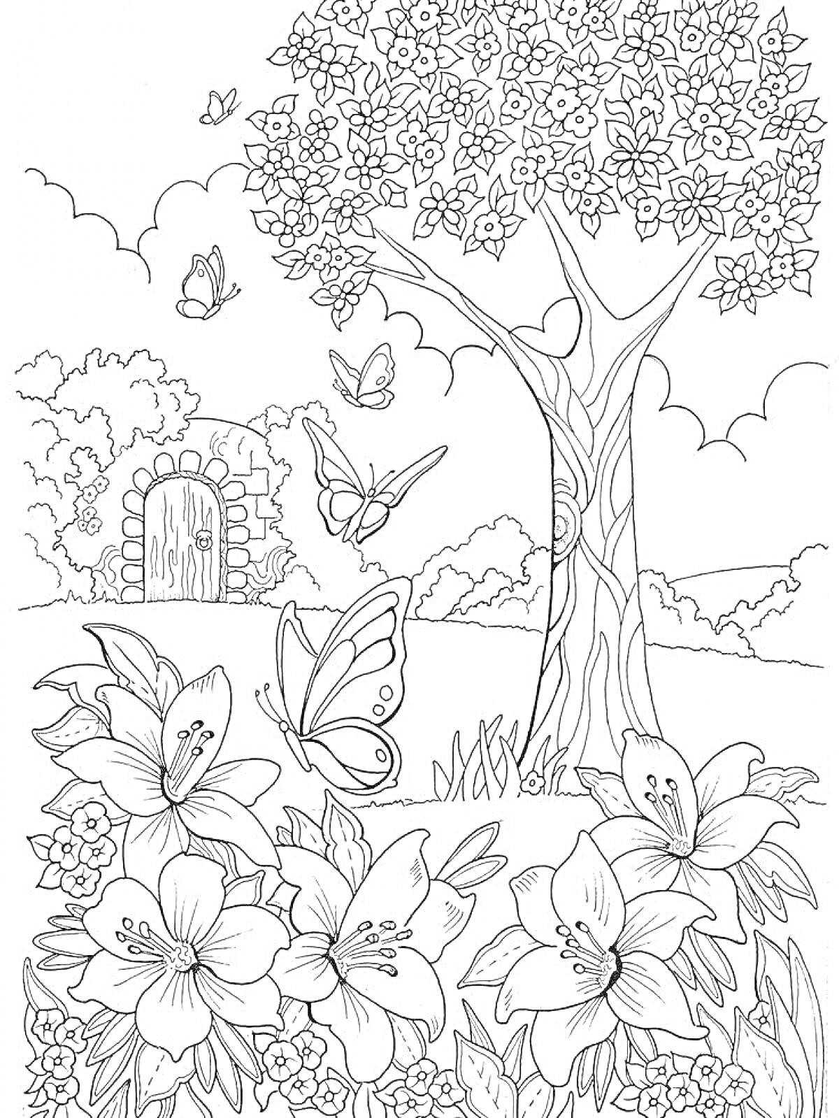 Раскраска Дерево, цветы и бабочки возле старой двери в саду