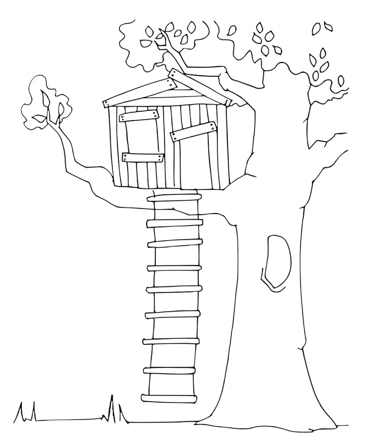 Раскраска Дом на дереве с лестницей и окошками