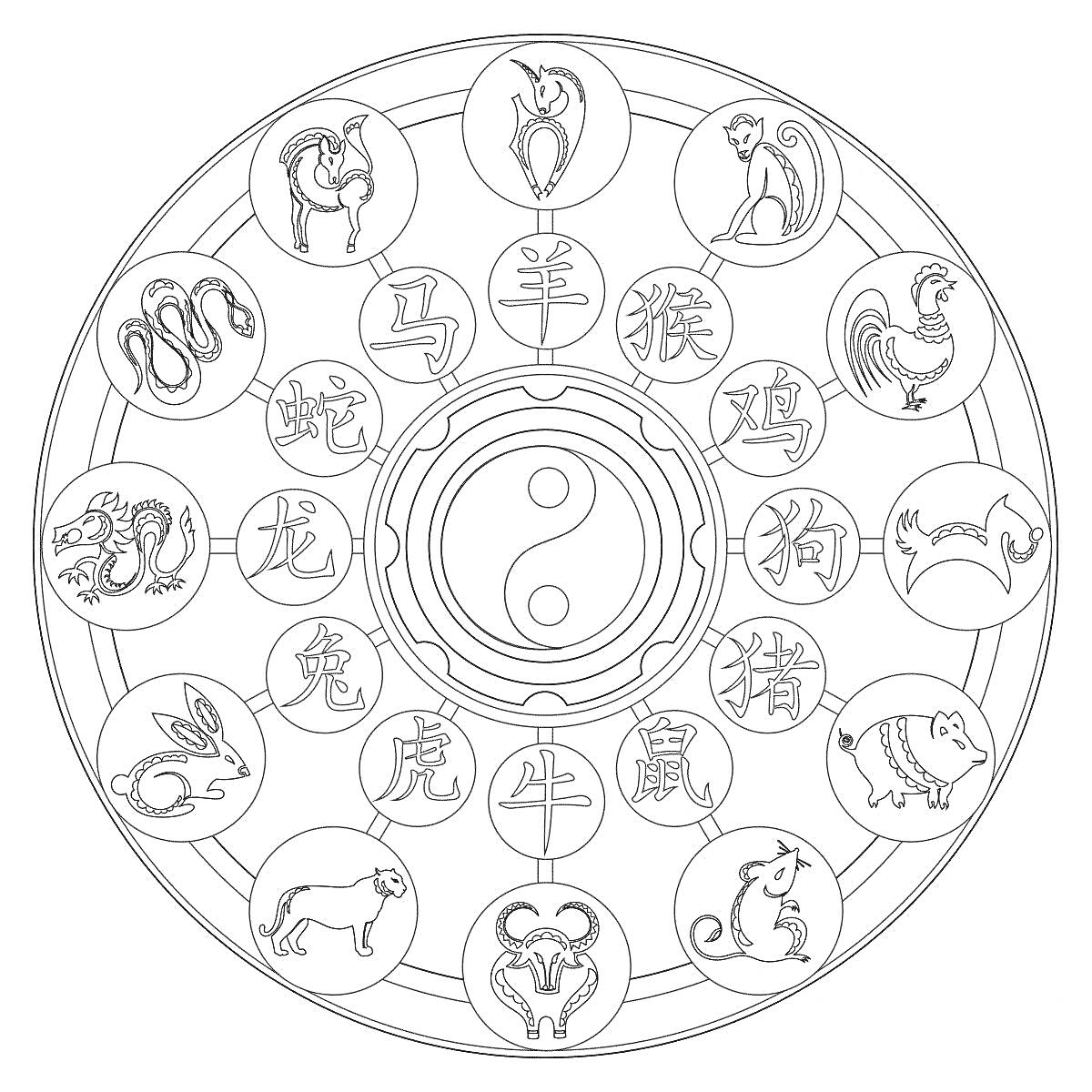 На раскраске изображено: Китайский зодиак, Календарь, Бык, Тигр, Кролик, Дракон, Лошадь, Петух, Собака