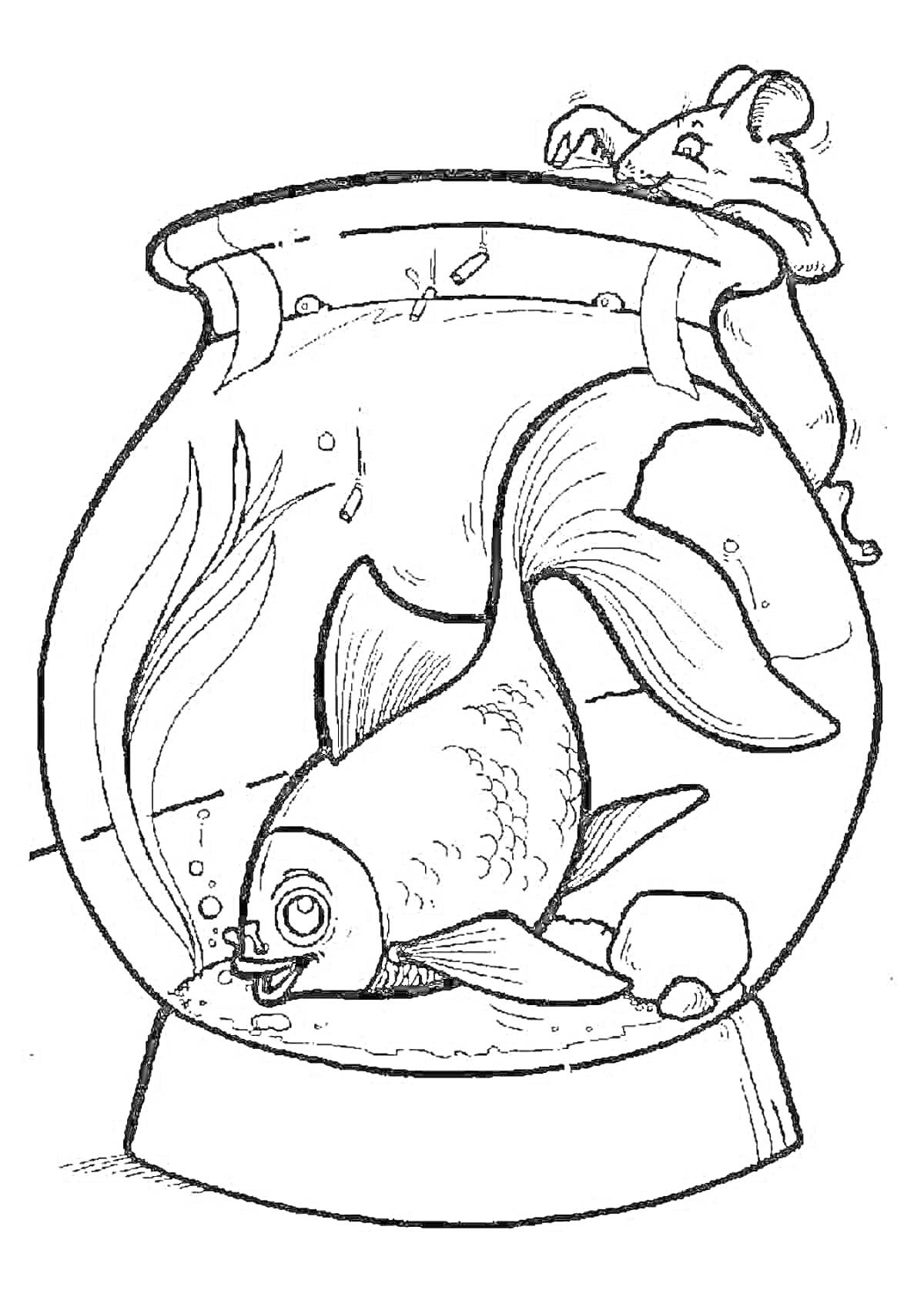 На раскраске изображено: Аквариум, Золотая рыбка, Рыба, Камни