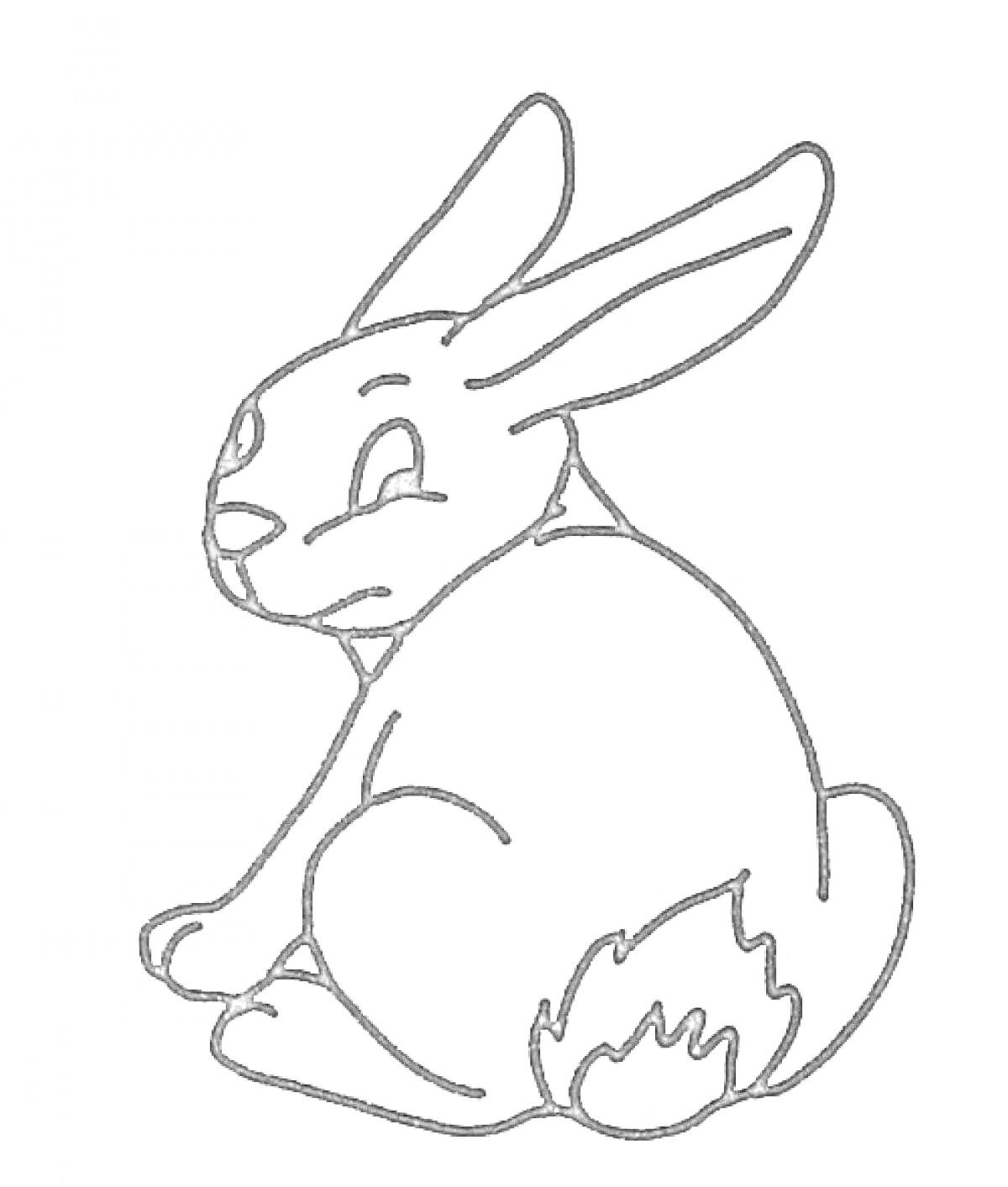 Заяц, сидящий спиной, с пушистым хвостиком