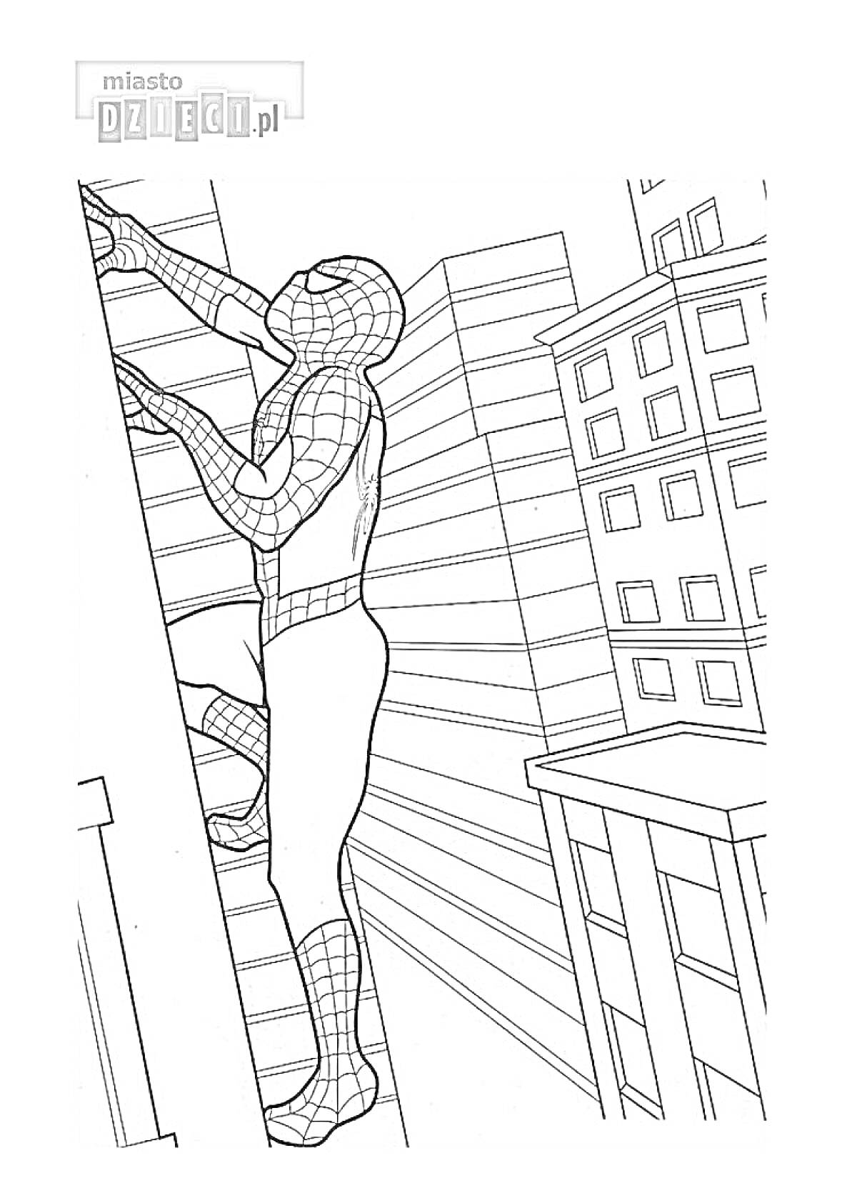 Раскраска Человек-паук карабкается по стене в городе