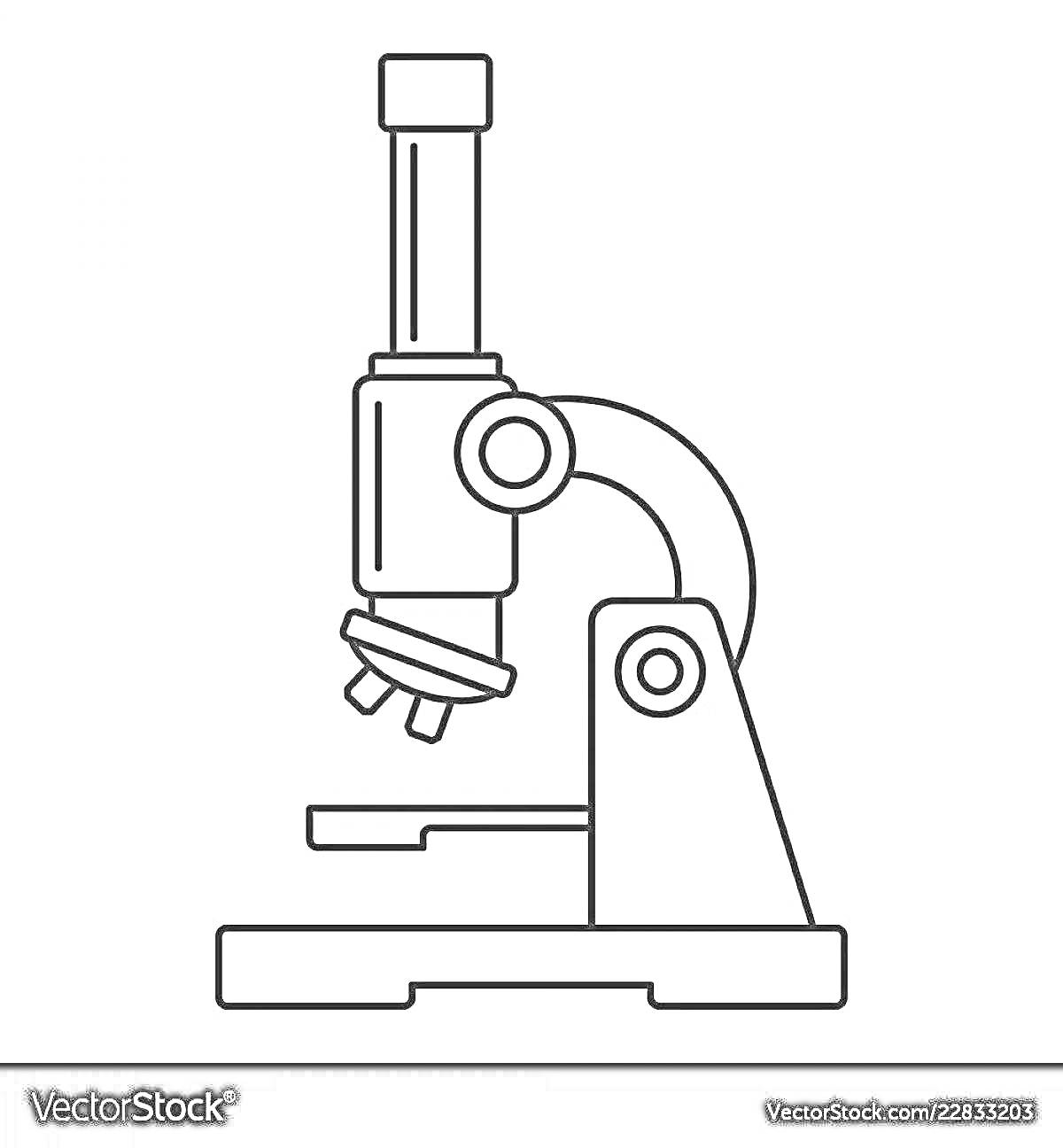 Раскраска микроскоп с окуляром, тубусом, револьверным механизмом, объективами, предметным столиком, ручками фокусировки и основанием