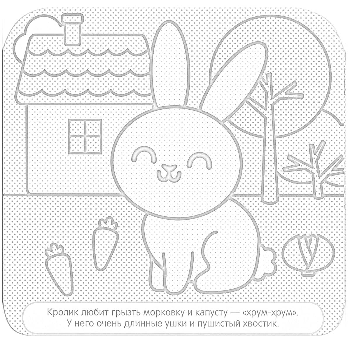 На раскраске изображено: Кролик, Дом, Капуста, Животные, Природа, Деревья, Морковь