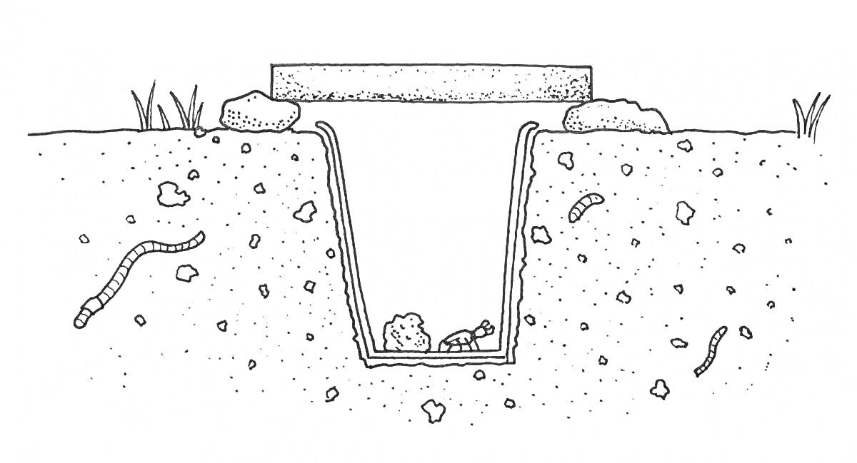 Раскраска Кусок земли с червями, камнями и ямой