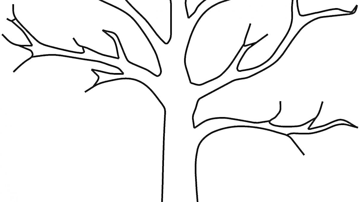 Раскраска Очертания ветки и ствола дерева без листьев
