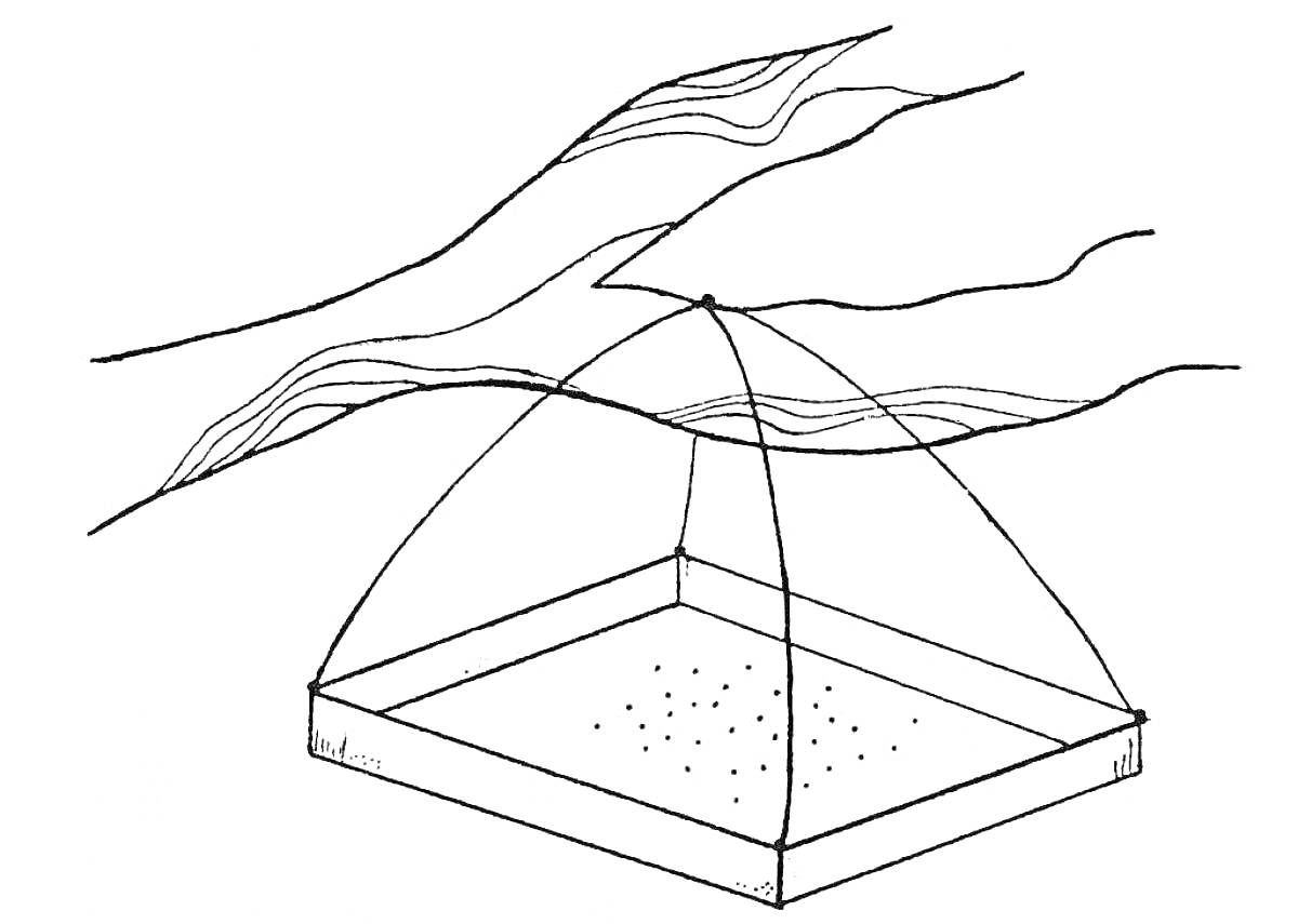 Раскраска кормушка с крышей для птиц, подвешенная на ветке