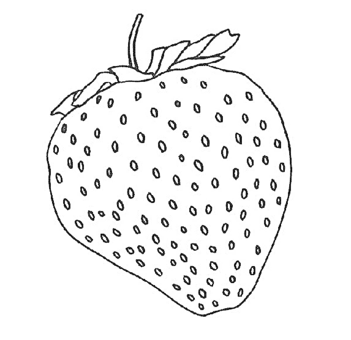 Раскраска Клубника с листьями и семенами
