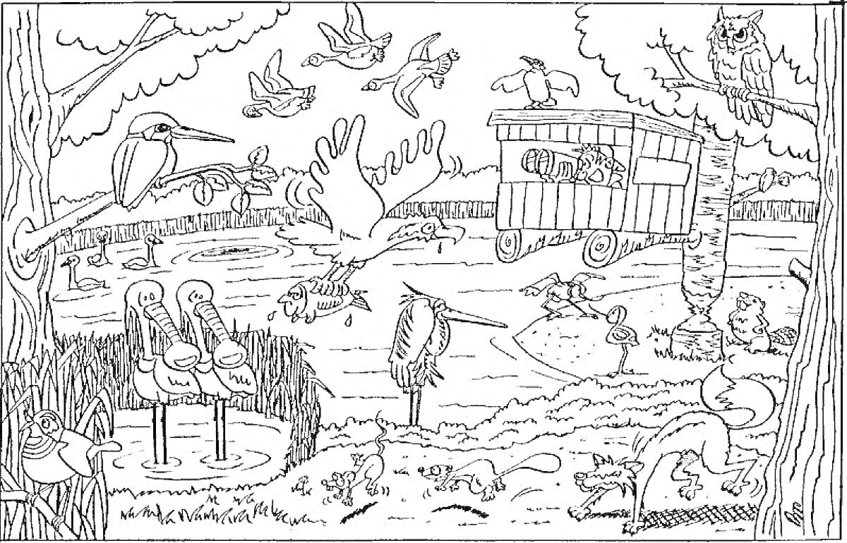 Раскраска Заповедник с птицами у водоёма, наблюдательной вышкой и лесом