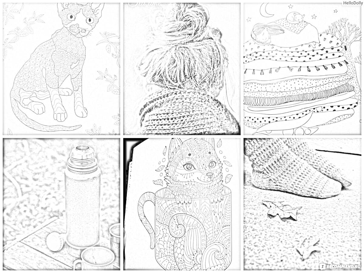 Раскраска Кот, связанные свитера, термос с чашками, кот в чашке, женщина со светлыми волосами, шерстяные носки.