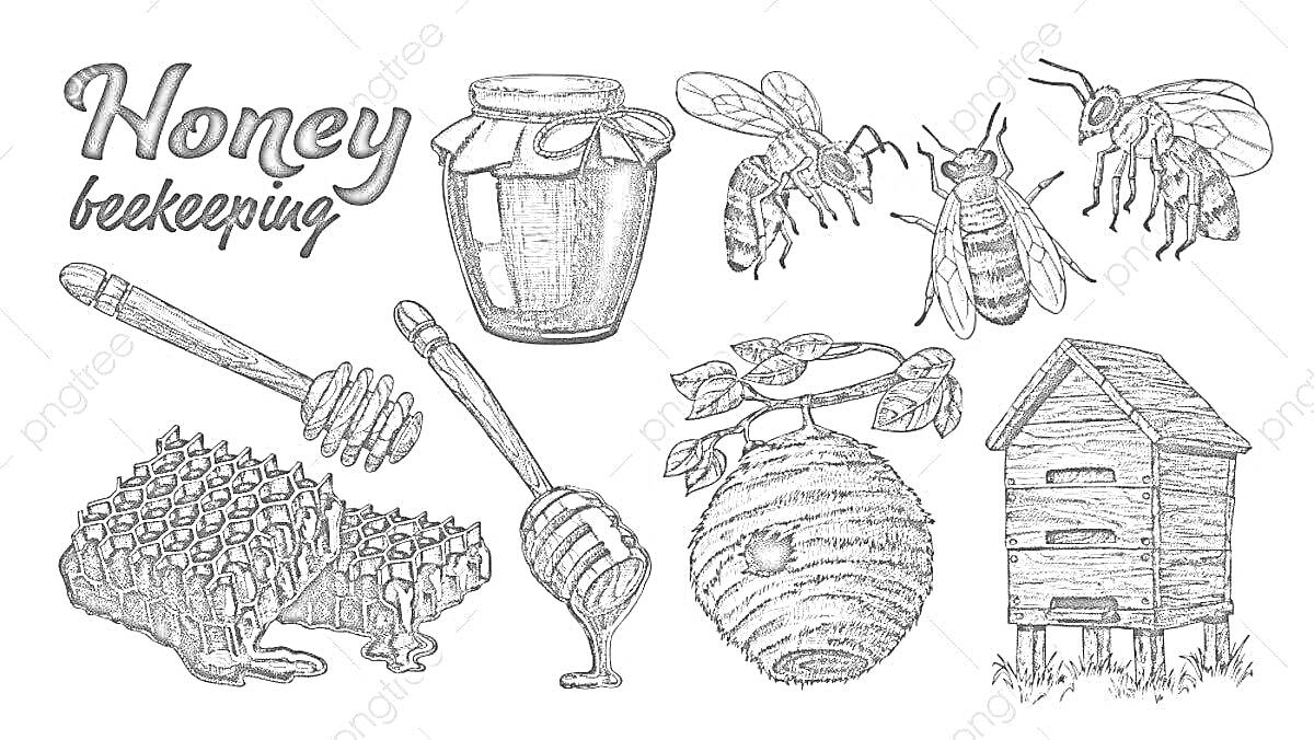 На раскраске изображено: Мёд, Пчёлы, Улей, Соты