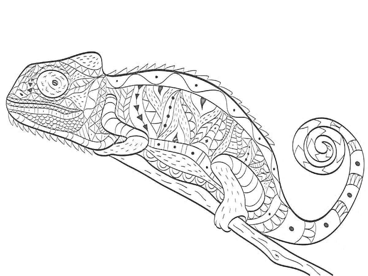 На раскраске изображено: Антистресс, Хамелеон, Узоры, Ветка, Зентангл