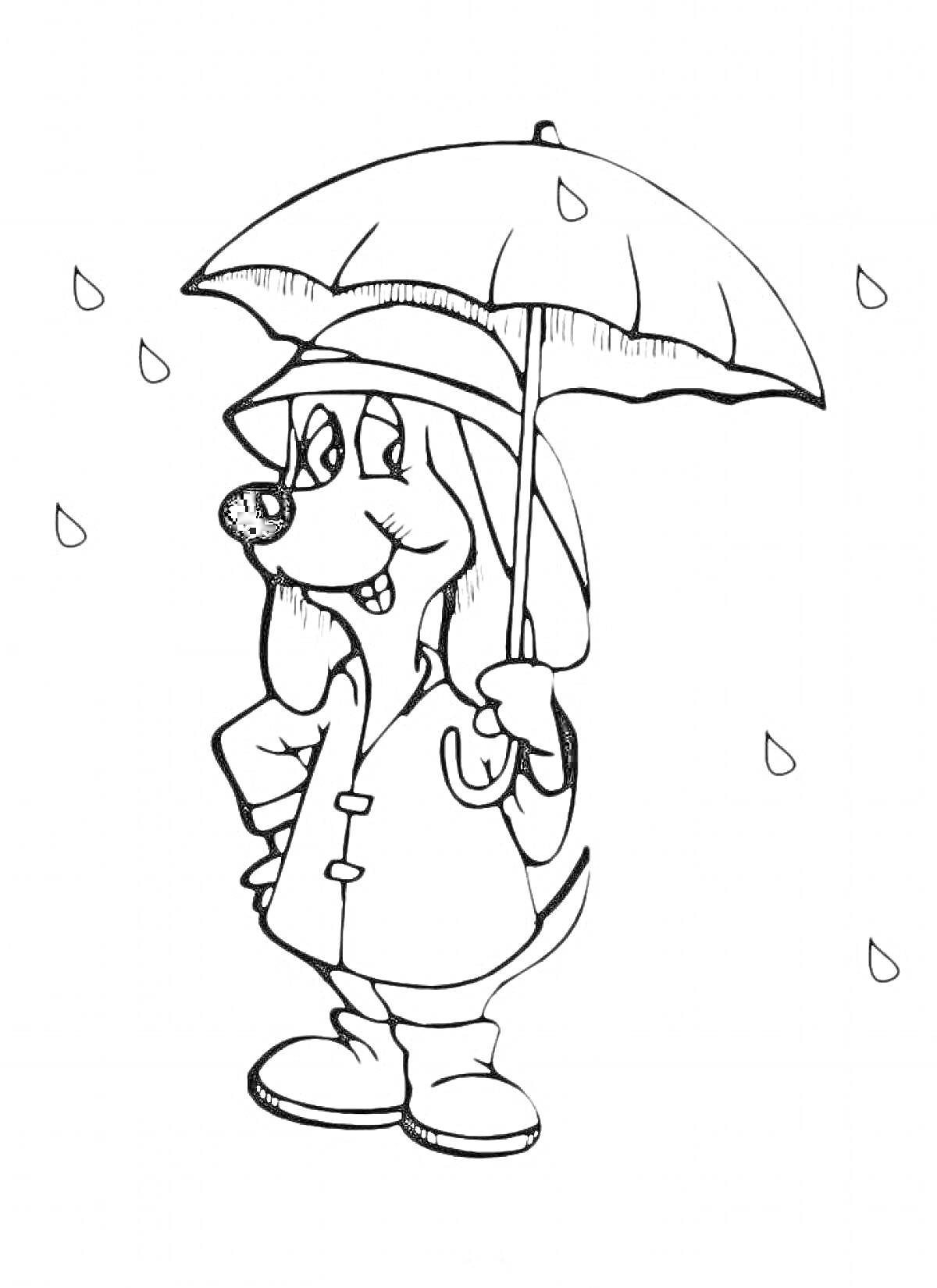 Собака под зонтиком в плаще под дождем