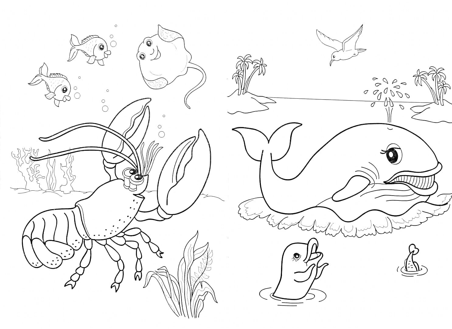 На раскраске изображено: Подводный мир, Омар, Рыба, Скат, Морской лев, Птица