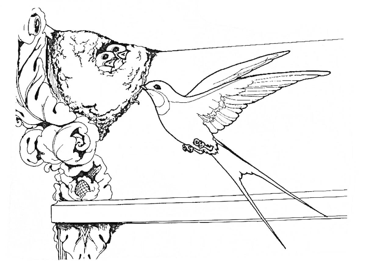 На раскраске изображено: Ласточка, Птица, Гнездо, Карниз, Цветы