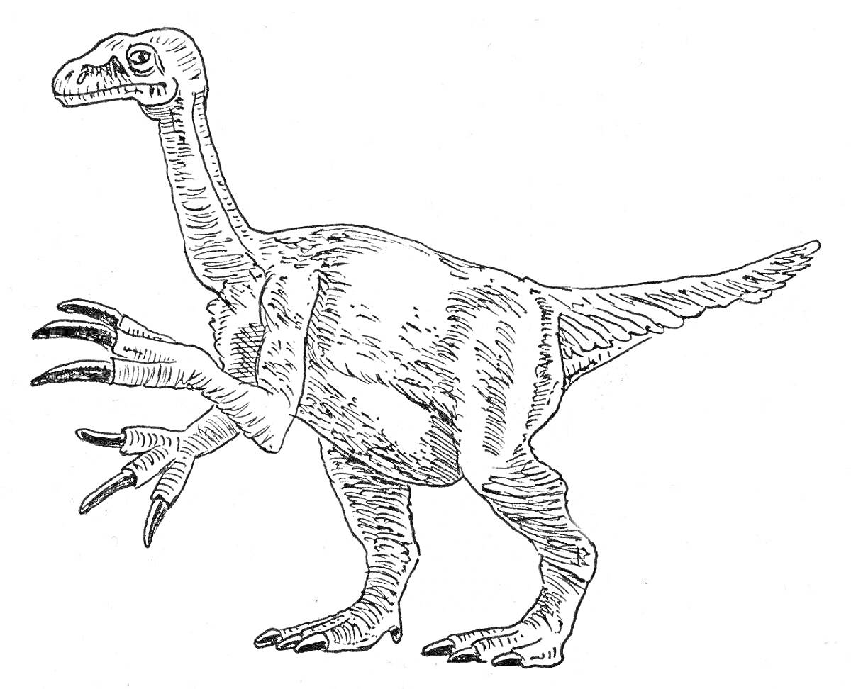 Раскраска теризинозавр с длинной шеей и большими когтями