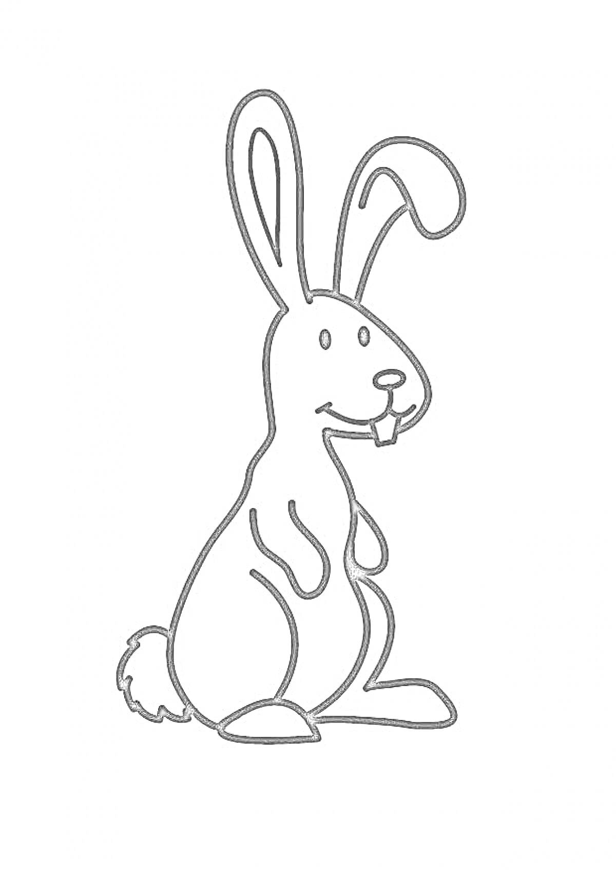 Раскраска Заяц с большими ушами и передними лапами на животе