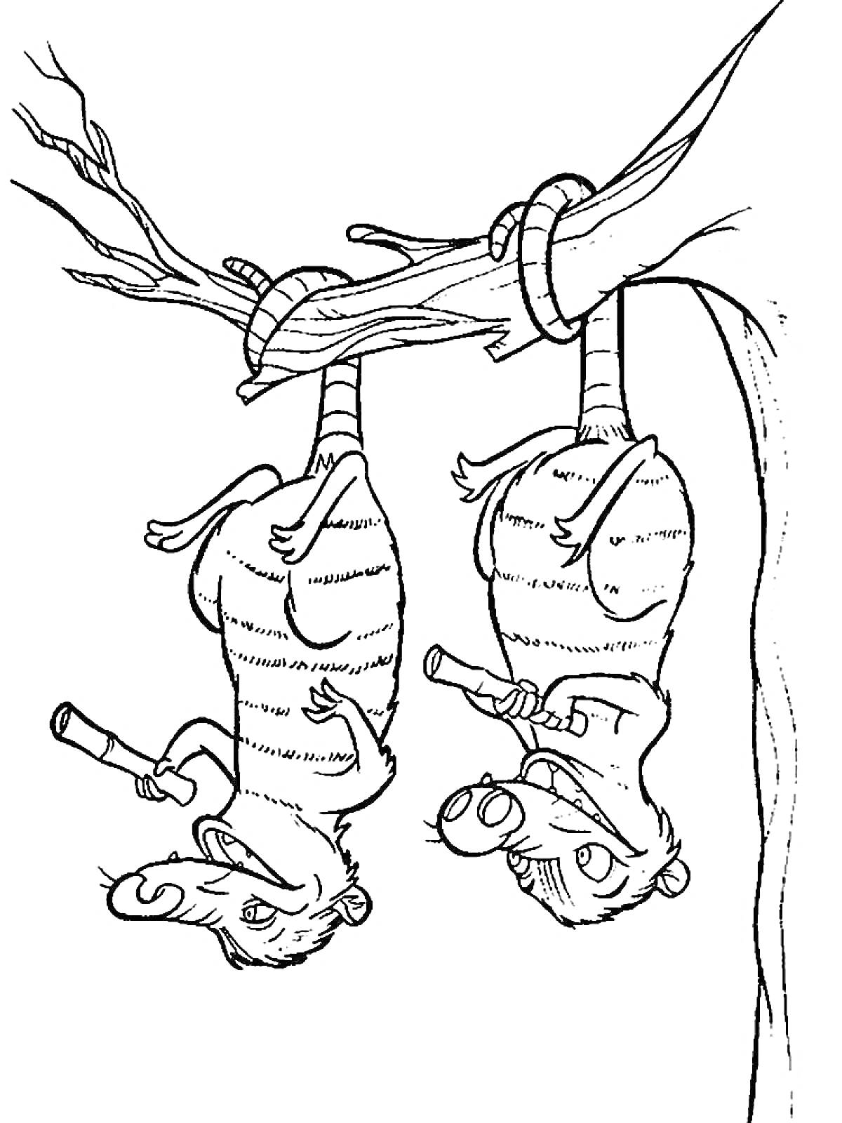 Две ламантины-скрабберы на дереве, играют на музыкальных трубах