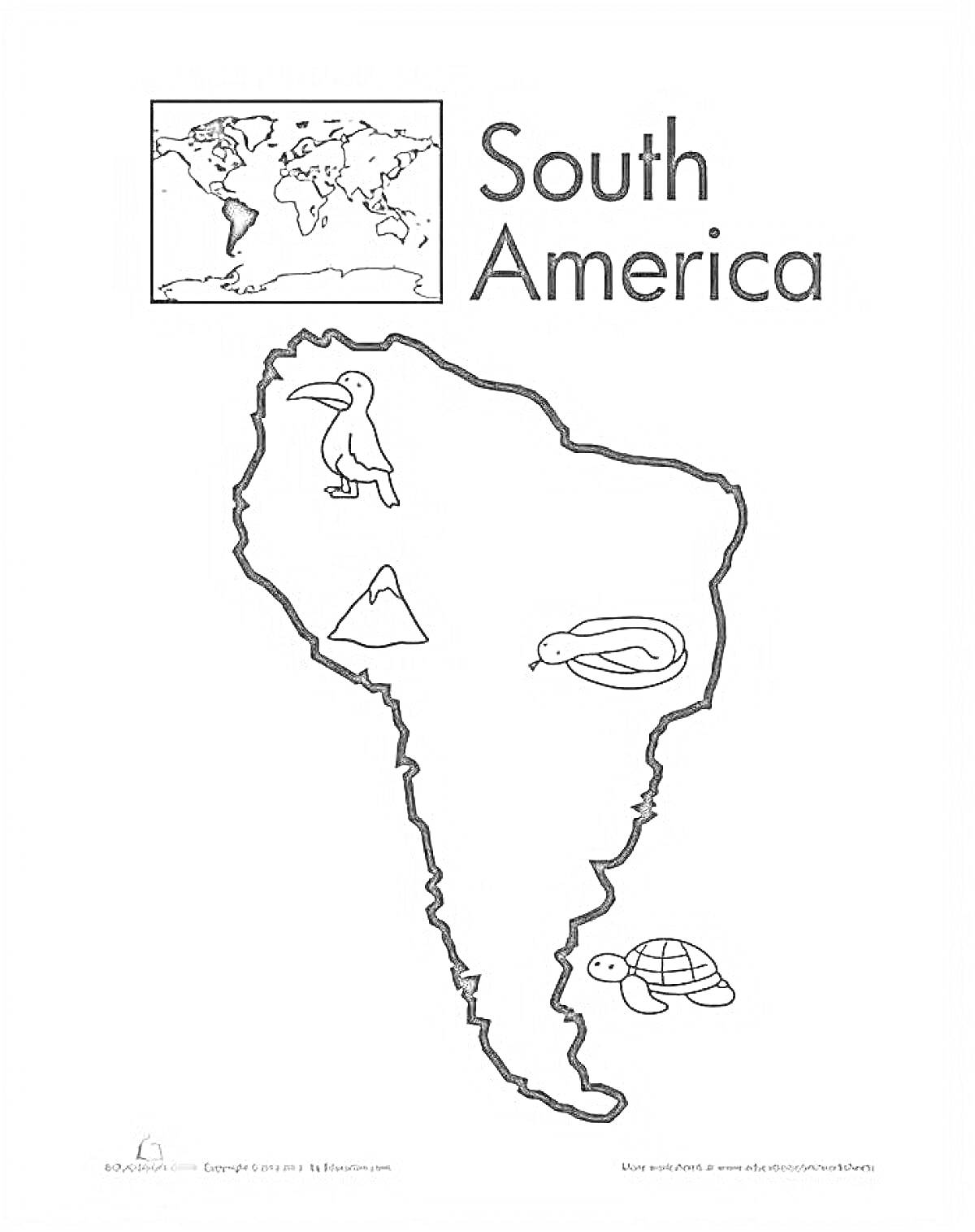 На раскраске изображено: Южная Америка, Тукан, Анаконда, Черепаха, Карта, География