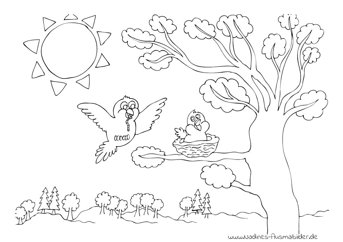 На раскраске изображено: Весна, Гнездо, Солнце, Природа, Кусты, Листья, Пейзаж, Лес