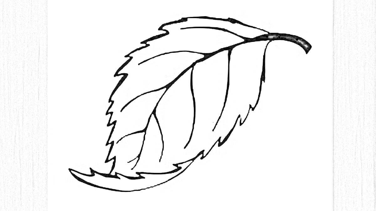 Раскраска Осенний лист - одиночный лист с зубчатыми краями