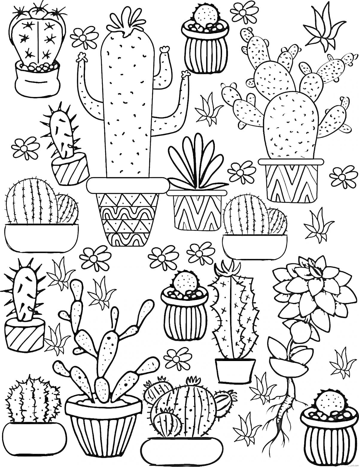 На раскраске изображено: Кактусы, Горшки, Растения, Цветы, Листья, Суккуленты, Комнатные растения, Узоры, Контурные рисунки
