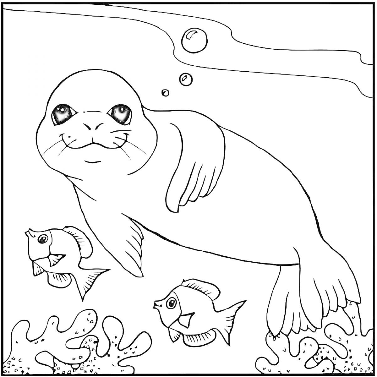 На раскраске изображено: Тюлень, Водоросли, Подводный мир, Морские животные