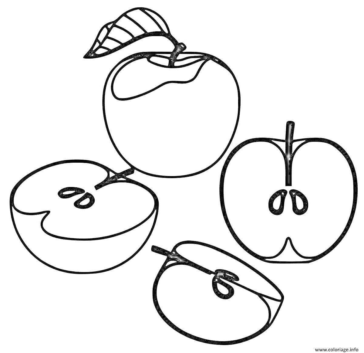 На раскраске изображено: Яблоко, Разрезанное яблоко, Еда, Целое яблоко