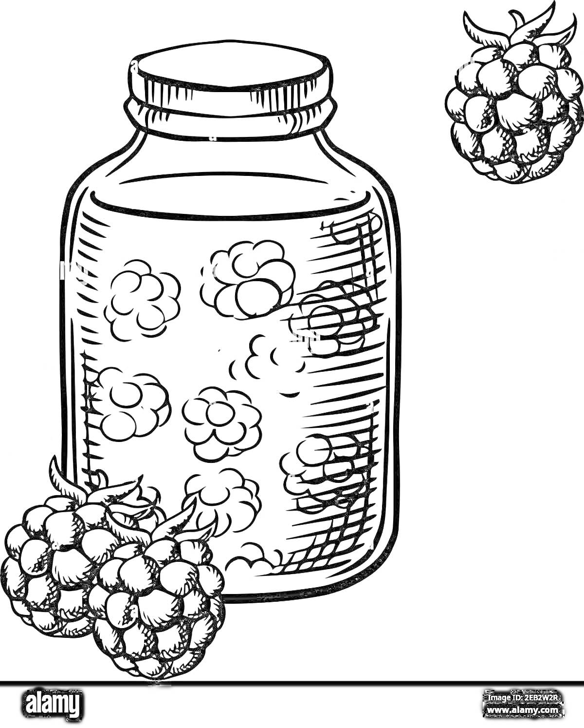 Раскраска Банка с малиновым компотом и свежей малиной