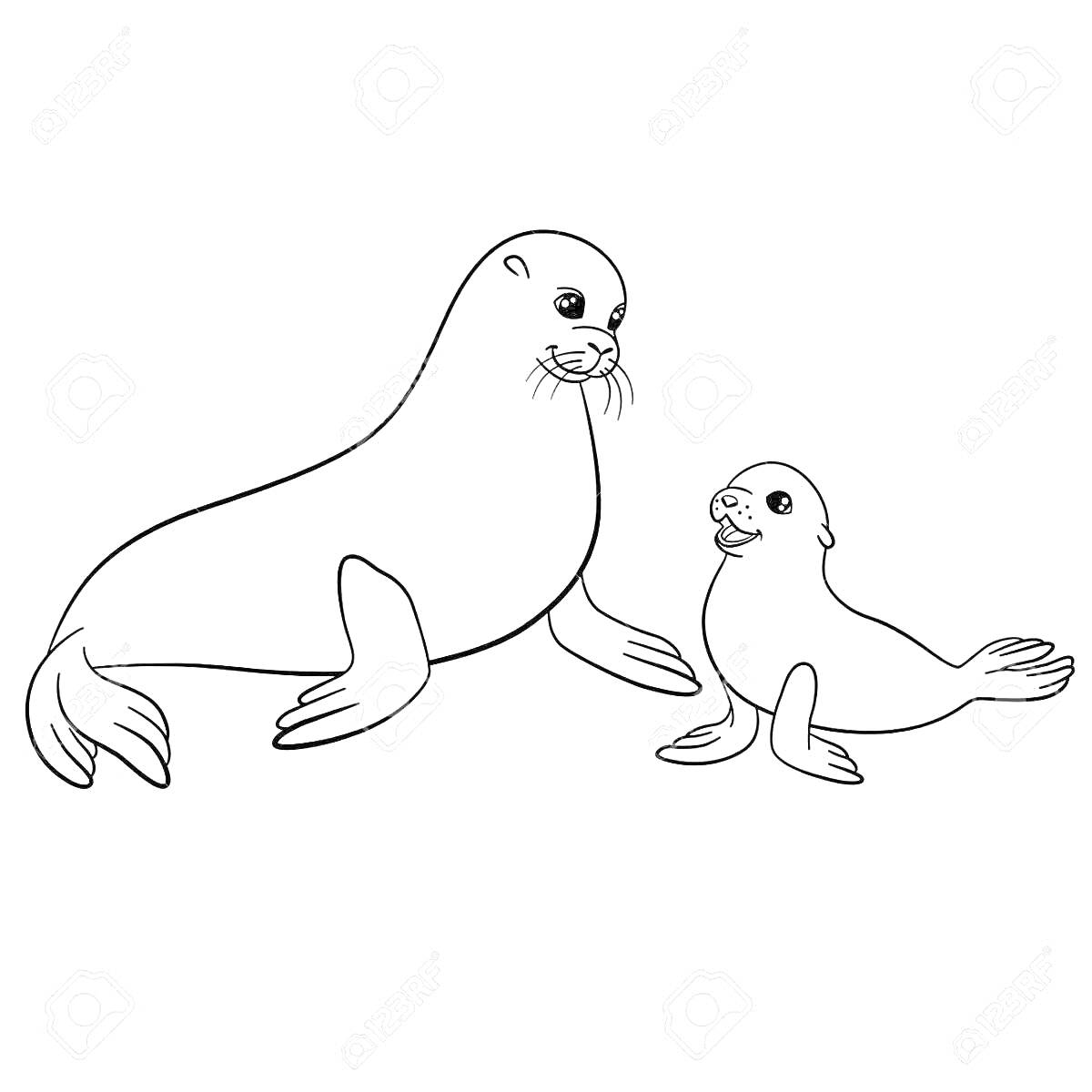 На раскраске изображено: Тюлень, Животные, Море