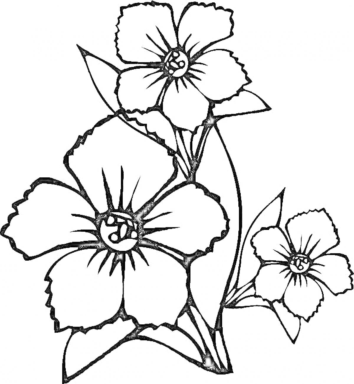 Раскраска Три крупных цветка с листьями