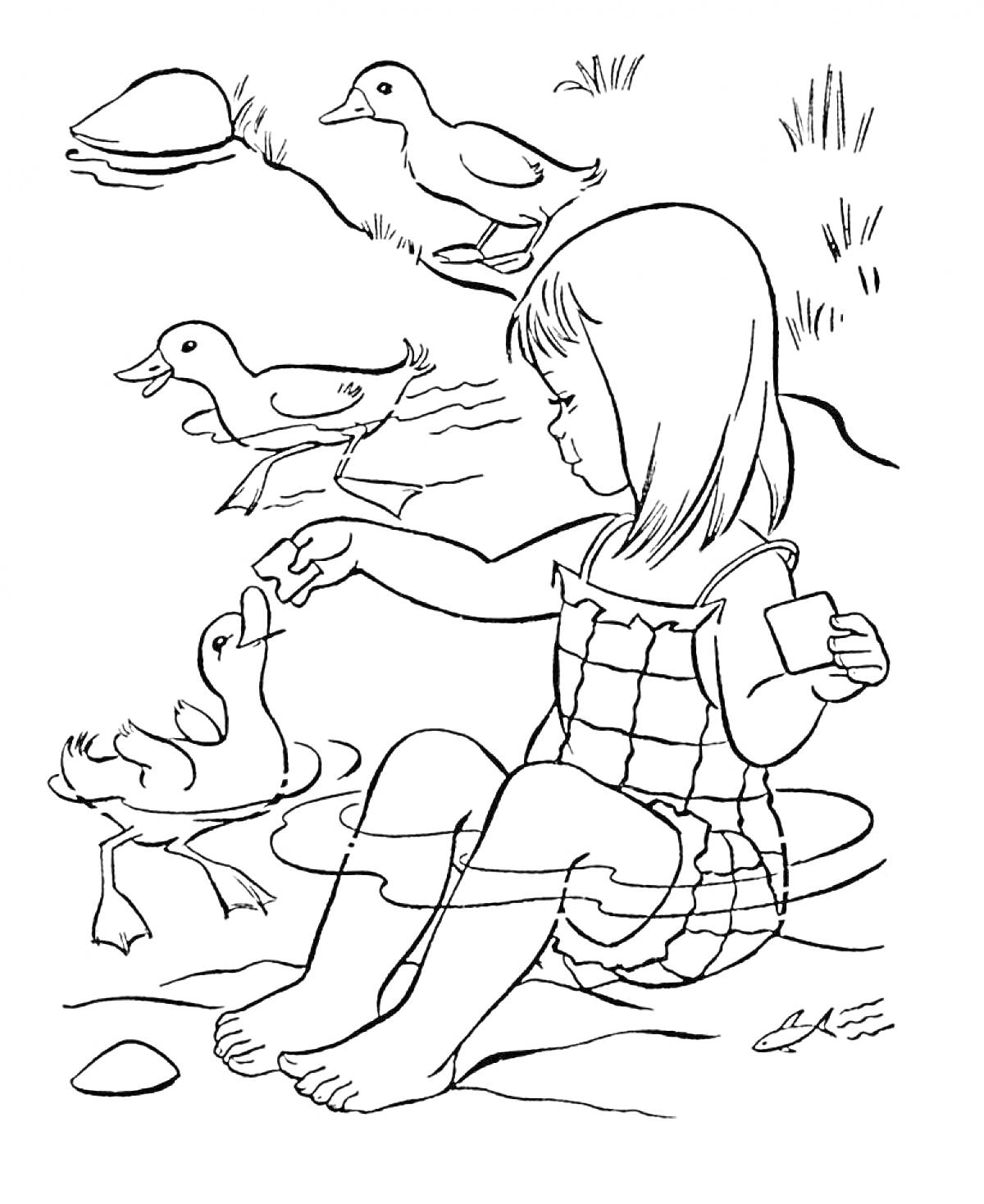 Раскраска Девочка кормит утят на пруду