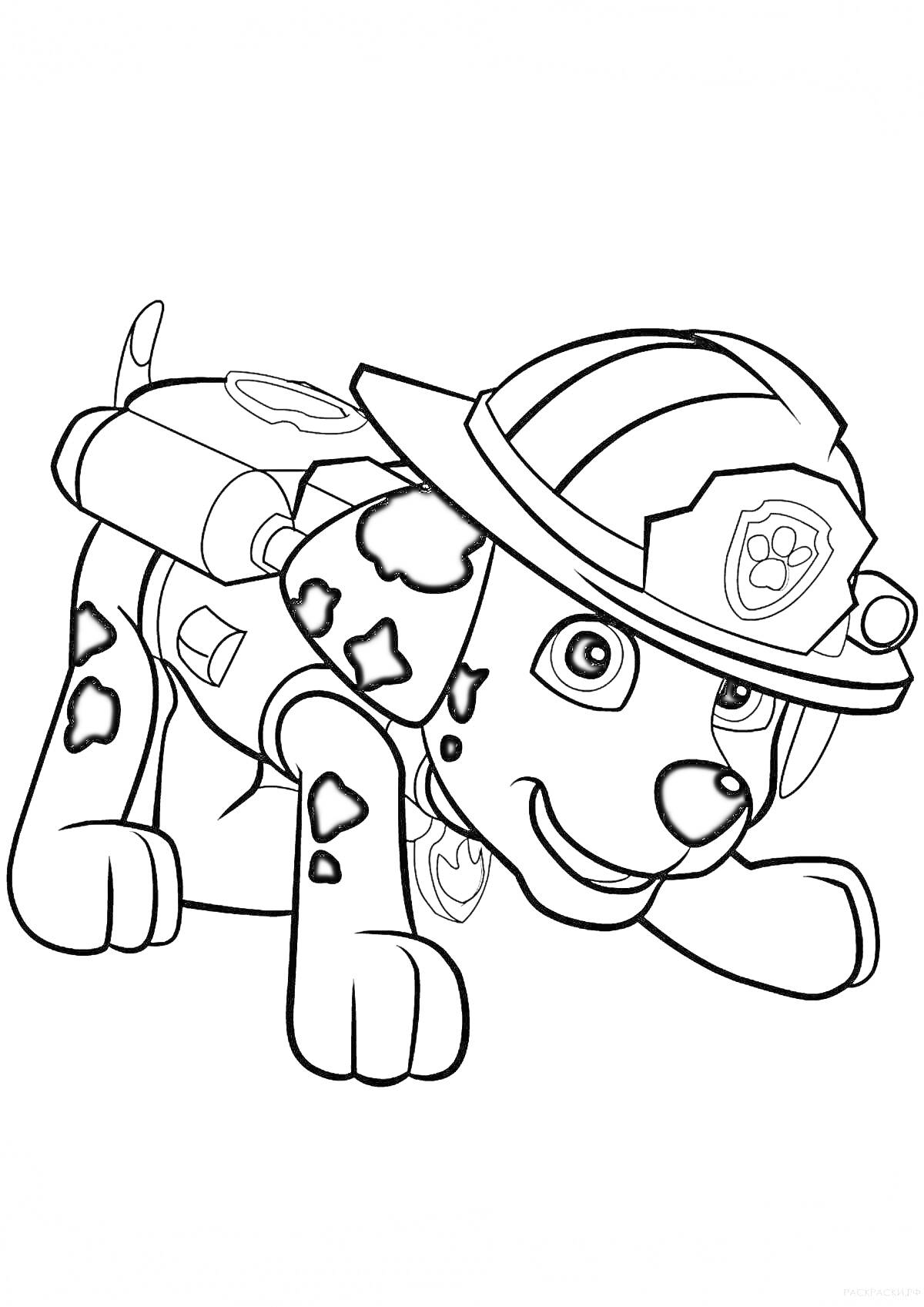 На раскраске изображено: Каска, Пятна, Животные
