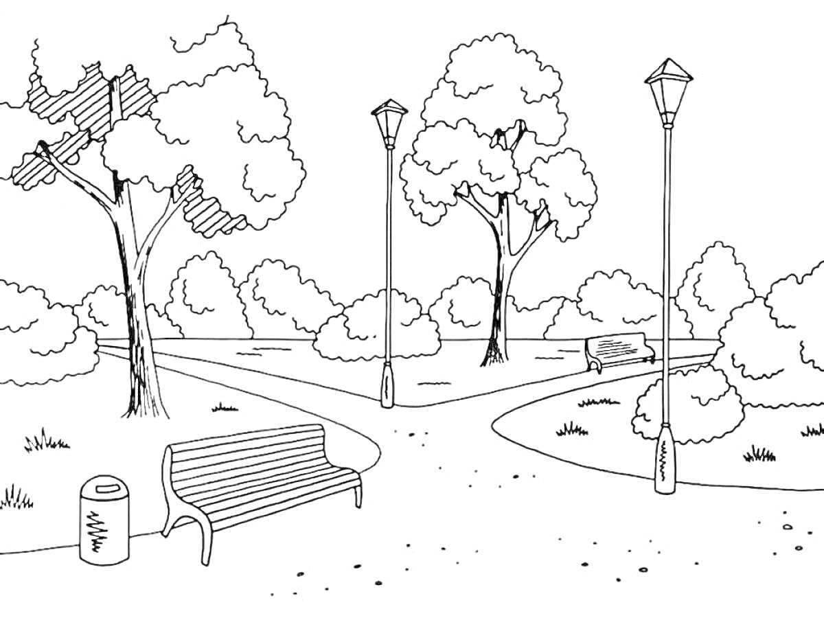 Раскраска Парк с деревьями, скамейками, фонарями и мусорным баком