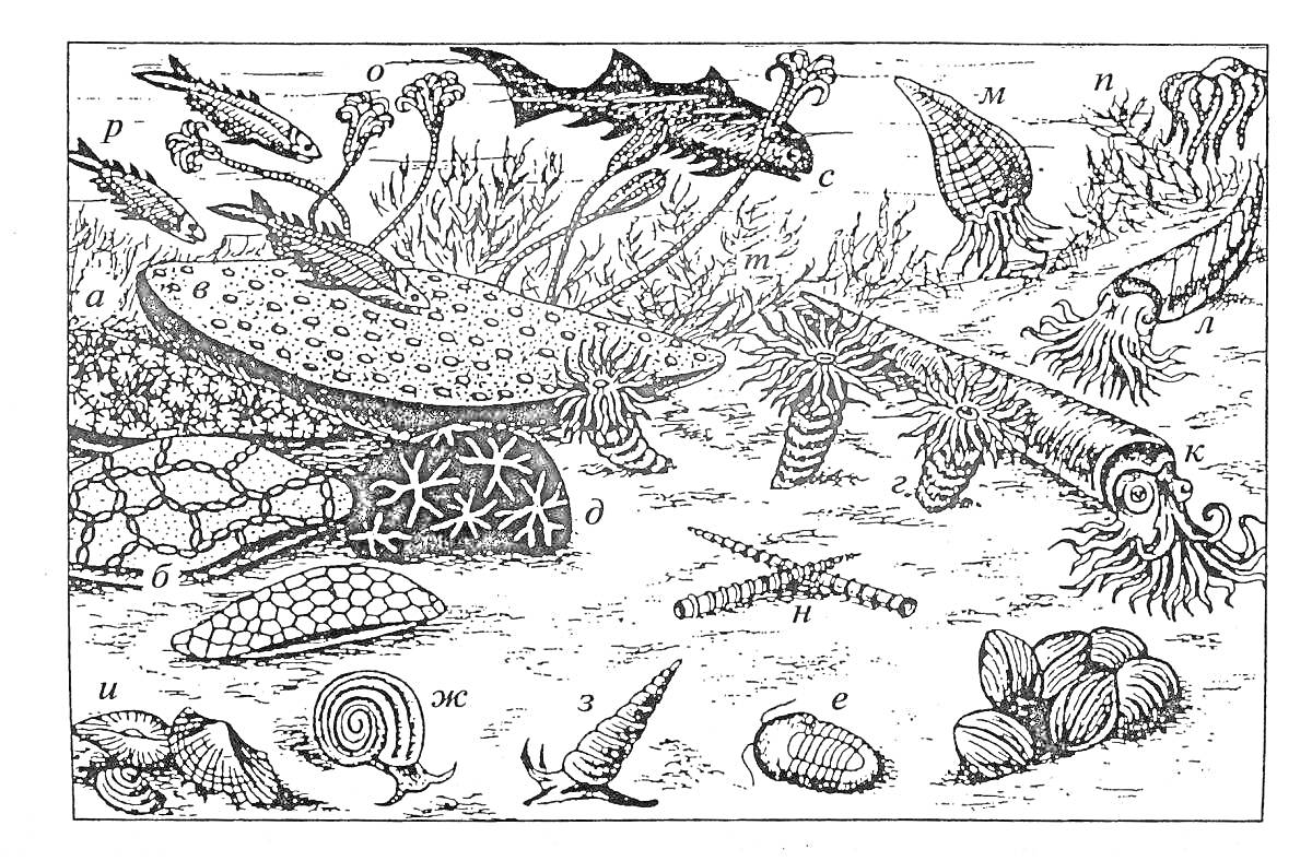 Раскраска Животные палеозойской эры: кораллы, ранние рыбы, морские лилии, трилобиты, граптолиты, ранние моллюски, иглокожие