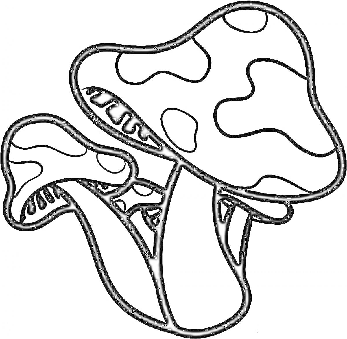 Раскраска Раскраска с тремя грибами с узорчатыми шляпками
